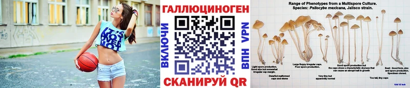 Псилоцибиновые грибы Psilocybe  Среднеуральск 