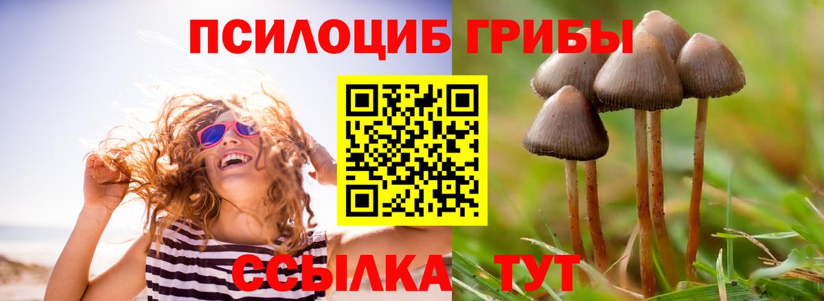 Псилоцибиновые грибы GOLDEN TEACHER  купить закладку  Среднеуральск  Вход с VPN  Галлюциногенные грибы ЛСД 